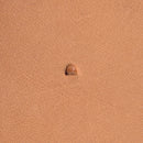 Figure/Pictorial F891 Leather Stamp