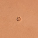 Figure/Pictorial F994 Leather Stamp