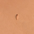 Stop H903 Leather Stamp